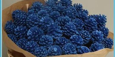 Flower District NYC Wholesale Flowers Flower Supply Flower Market NYC blue painted  pine cone sticks