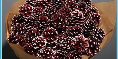 Flower District NYC Wholesale Flowers Flower Supply Flower Market NYC red pine cone sticks