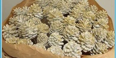 Flower District NYC Wholesale Flowers Flower Supply Flower Market NYC white gold glitter pine cone s