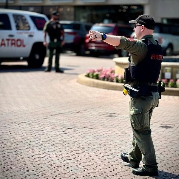 A park patrol officer directs traffic in a sunny urban area.