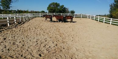 VersiGrid Mud Control Grid Equine Mud Management Paving Grid System Mud Management Grid