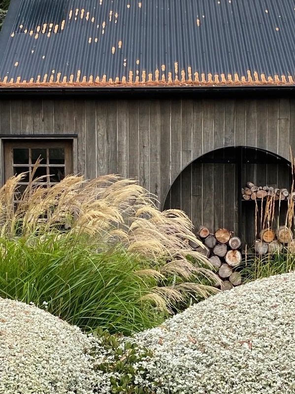 Rustic wooden shed with firewood and tall grasses in front.