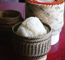 sticky rice