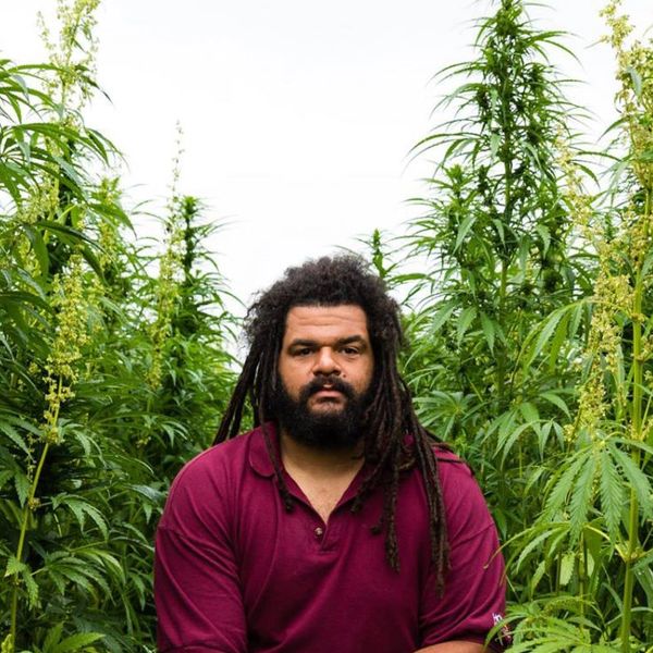 Man with dreadlocks sitting among tall cannabis plants.