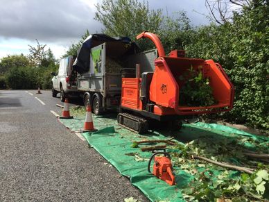 Exeter Tree Felling. Exeter Tree Surgeon. Exeter Tree Surgery. Exeter Tree and Garden Care