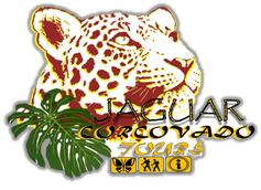 Jaguar Corcovado Tours