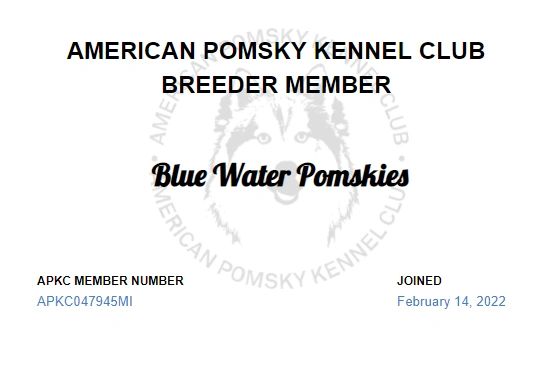 American pomsky kennel club breeder pomsky puppies on Michigan