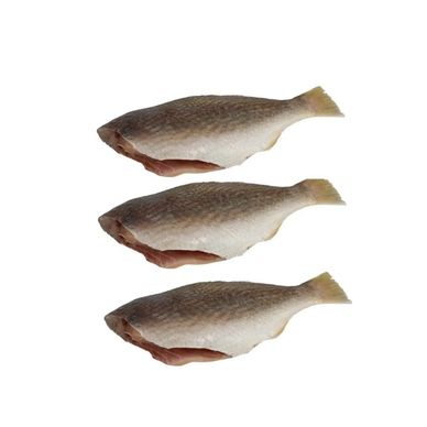 Three cleaned and gutted fish with tails intact on a white background.