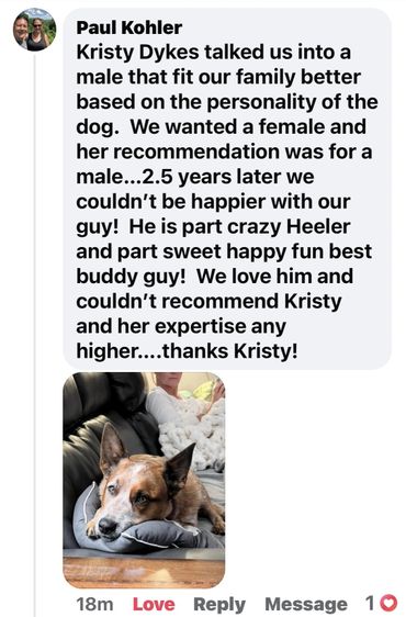 Breeder testimonial