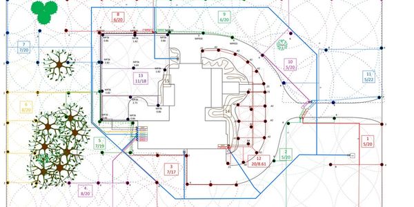 Detailed architectural plan with trees and measurements for a building layout.