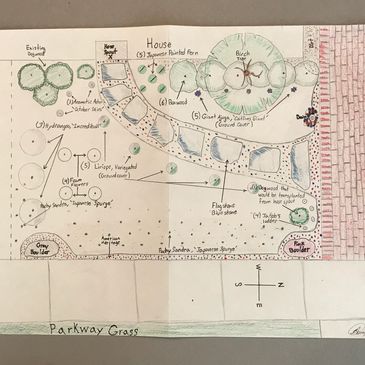 Garden and hardscape sketch