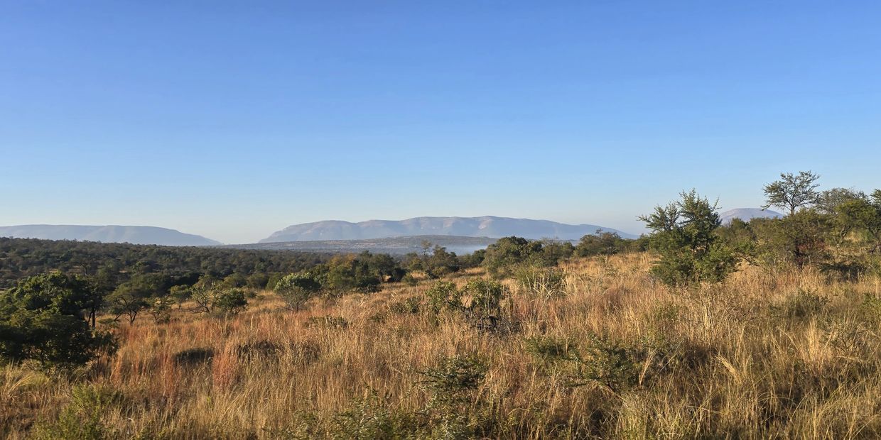 Set within the heart of the Waterberg Biosphere, the farm offers panoramic views of open bushveld an