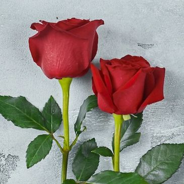 Illustration of a rose ceremony as part of a wedding.