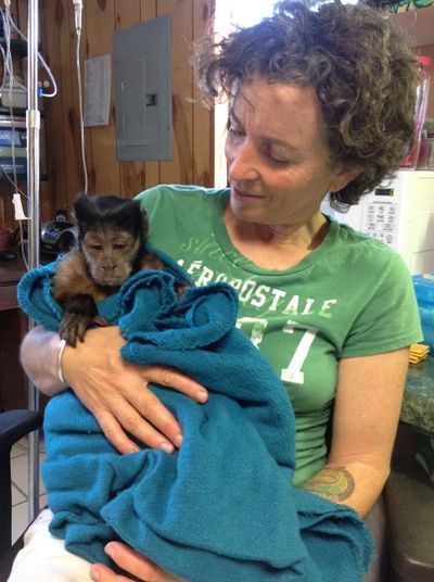 Rae Sikora, animal sanctuary, plant peace daily, animal rights, vegan activism, JC Corcoran