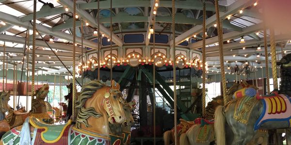 Carousel at Brooklyn Zoo is a Brooklyn Landmark
