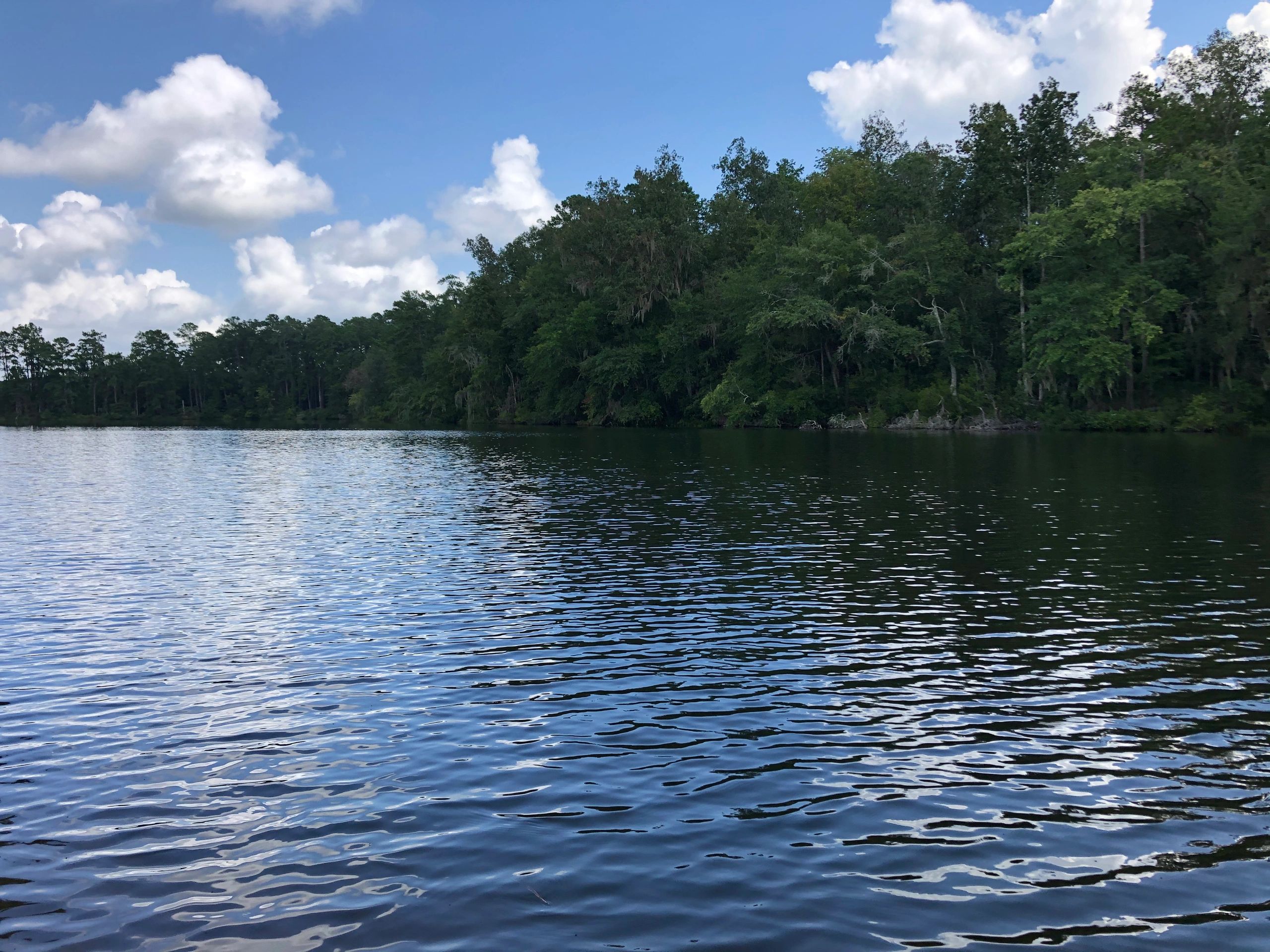 PRISM ECOLOGICAL SERVICES INC