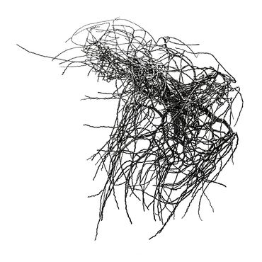 Fine art;twigs entwined;textured grey scale;complex network to navigate;convolution.