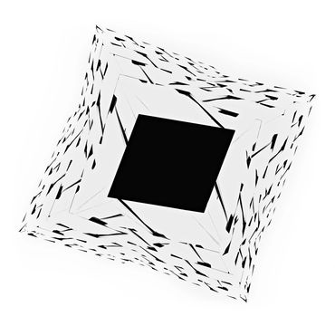 Fine art;black and white multi-dimensional structure;top down perspective;artefact element;abstract.