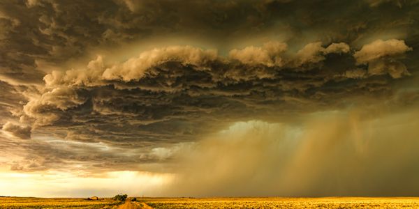 A dramatic storm cloud looms over a golden field at sunset.