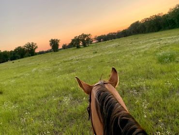 A view from the trails in our area. Here is a sunset ride one afternoon to relax with Zip.