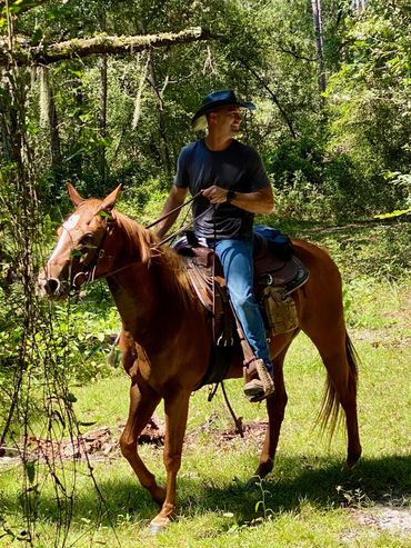 Nothing better than hanging out with your horse enjoying nature