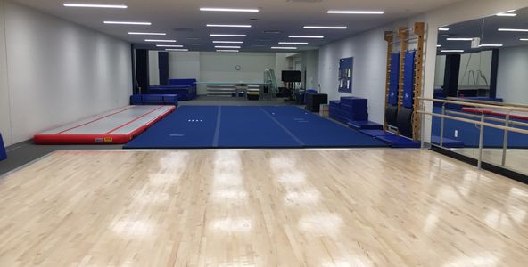 Dryland training area including ballet floor, tumbling floor, and dryboards