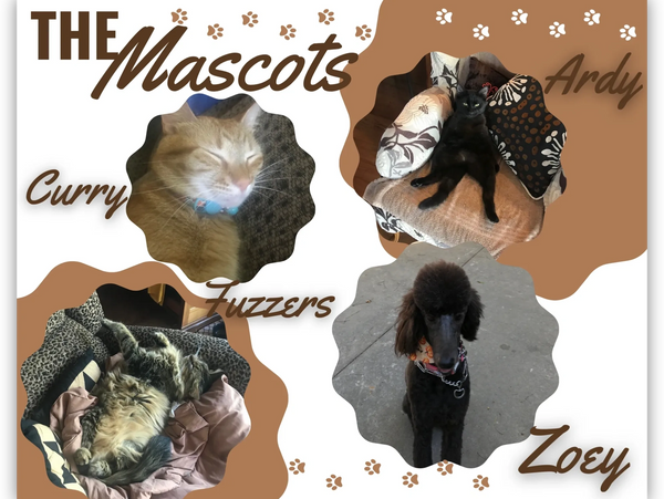 A collage of three pets named Curry, Ardy, Fuzzers, and Zoey as mascots.