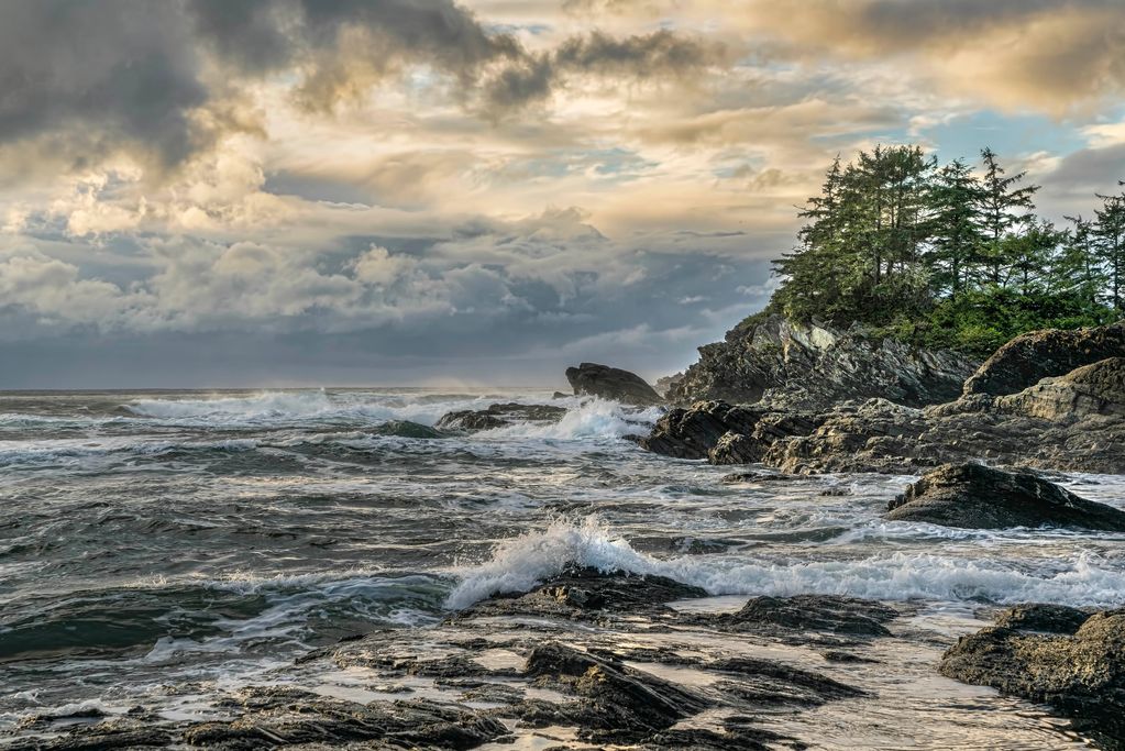 The Coast of Port Renfrew, Vancouver Island, BC