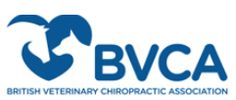 veterinary chiropractic