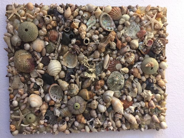 Hand mixed a combination of Sea Life, Corals, PNW Agates & rocks.  Worm castings and more.  
