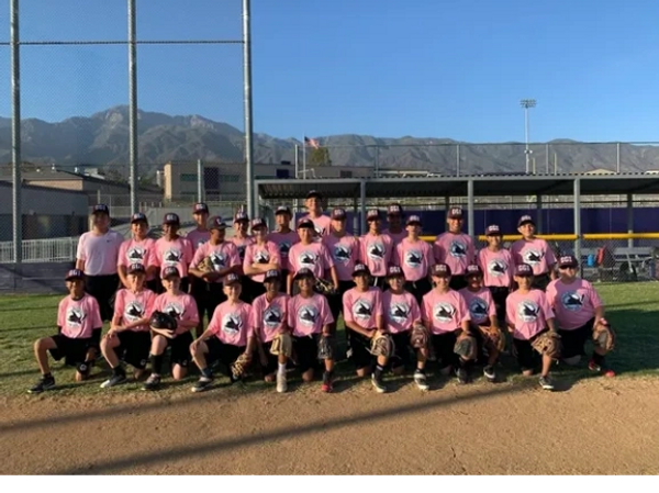 Travel Ball Team