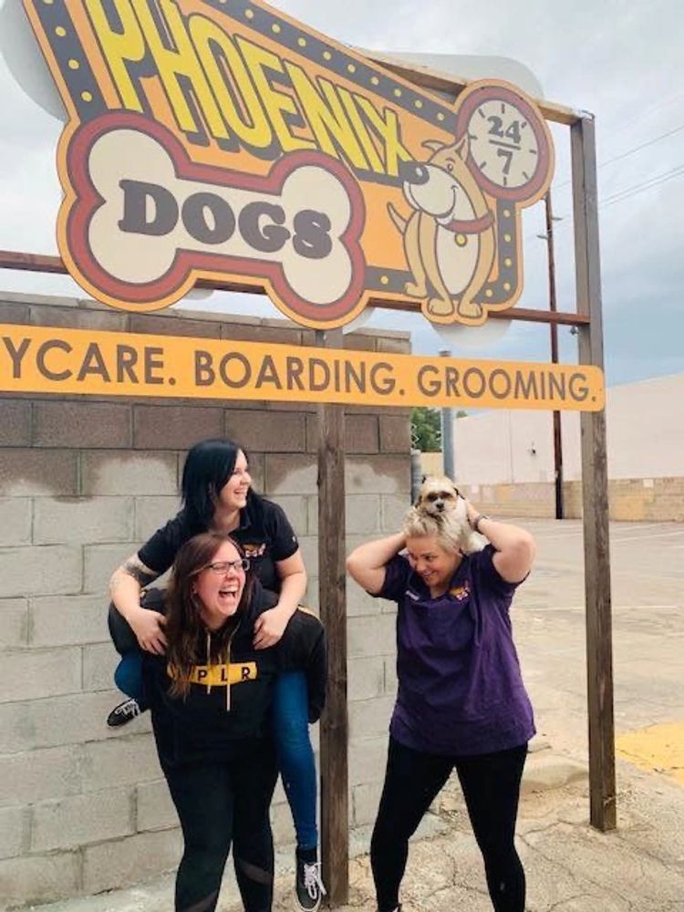 Dog daycare and dog boarding in phoenix arizona