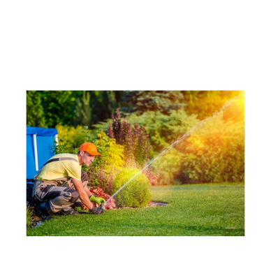 Gardener watering plants in a lush garden during sunset.