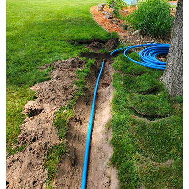 Blue irrigation pipe being laid in a dug trench in a garden area.