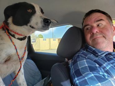on the way to a new life Border Collie Rescue Virginia 