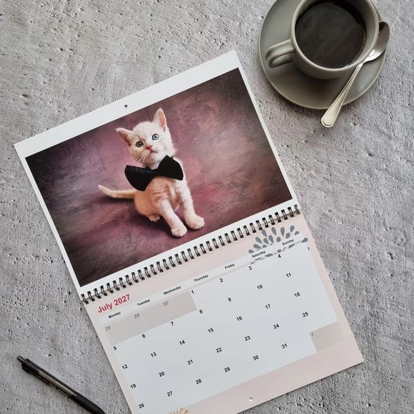 Calendar open to July 2027 with a cute kitten photo and coffee.