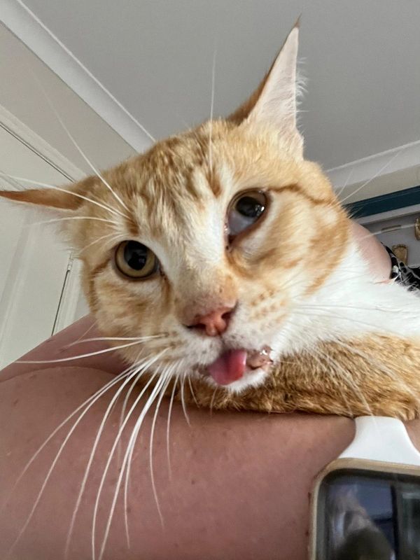 Alani suffered a medical episode which caused her face to droop and she became quite unwell