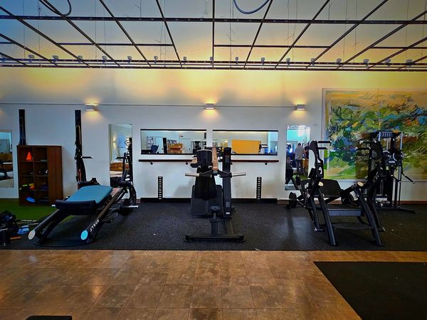 Image of the glute press, pendulum squat and total body press lined up in a row.