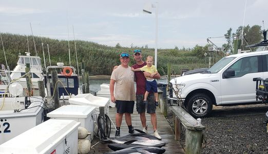 Flounder, Stripped Bass ,Seabass, Bluefish, Mahi Mahi, Tautog, Tuna (Bluefin), Tuna (Yellowfin)