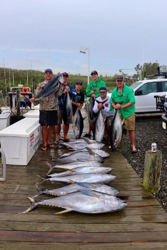 30 hour Tale Chaser II Fishing Tuna trip ended with 15 yellow fin tuna!