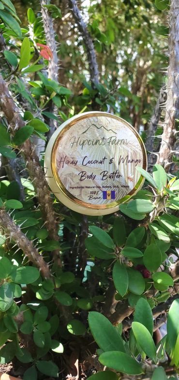 Hipoint Farm honey coconut and mango body butter in green foliage in Barbados.