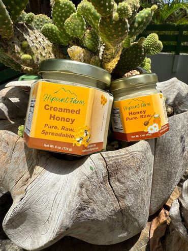Two jars of Hipoint Farm creamed honey on a wooden surface with cactus in the background in Barbados.