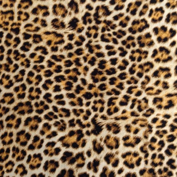 1 of 2 Backing Options (back Side of Quillow)