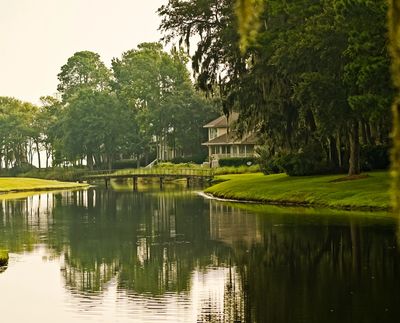 Hickory Forest located in Hilton Head Plantation.