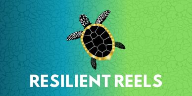 Resilience Reels Spotlights. Celebrate real strength, courage, and dancing through life’s storms.