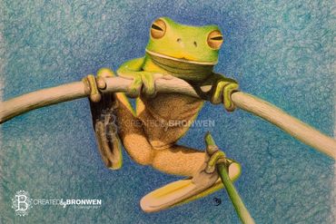 Sketch of green tree frog on a branch