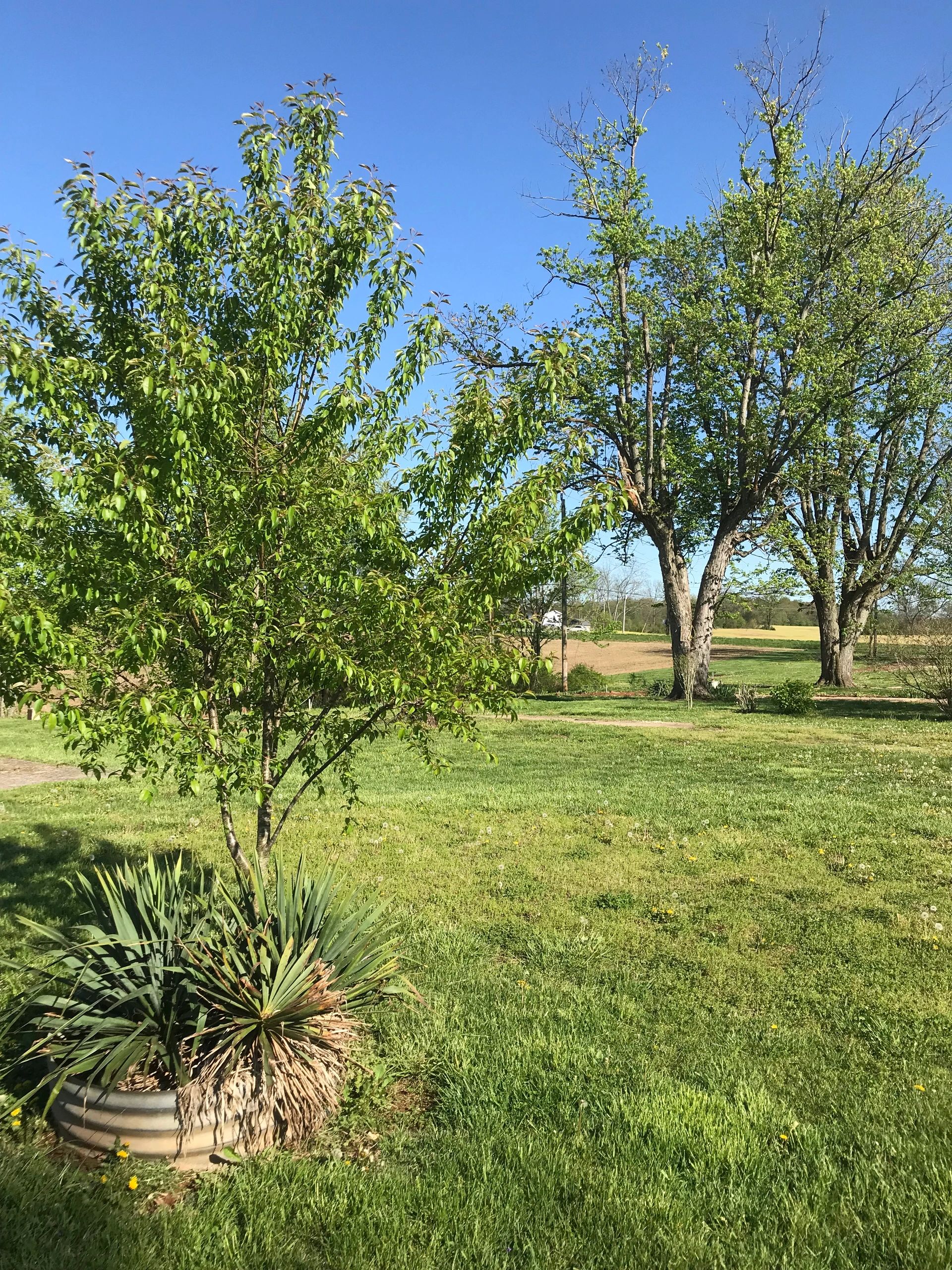 Photo Gallery | Sugar Maple RV Park