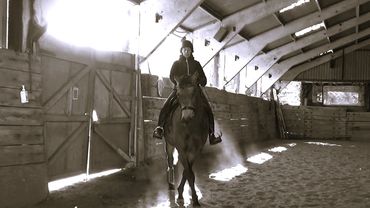 Counter bending a horse and neck reining the shoulders around the quarters, has an amazing effect on