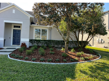house with landscaped bed in the front yard with tree, sod, mulch, plants