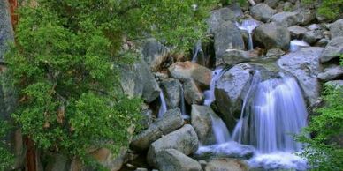 Woodland Stream Image